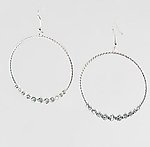 EA 534: Crystal Circle of Excellence Earrings