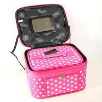 LL03PK: 2-Piece Train Case Set in Pink w/ Polka Dots