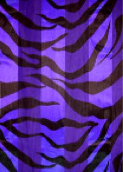 SS09A: Purple Zebra Scarf