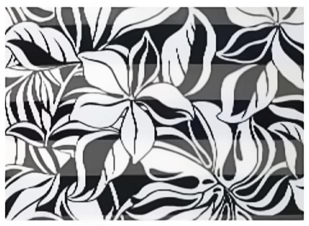 SS57: Floral Black & White Scarf
