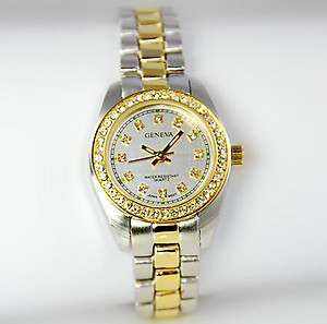 WA70: Ladies Professional 2-Tone Watch