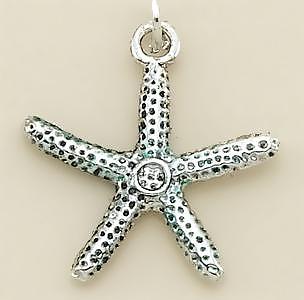 CH100S: Silver Starfish Charm