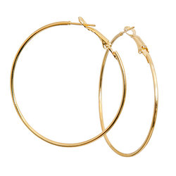 EA601PR: Silver or Gold Hoops