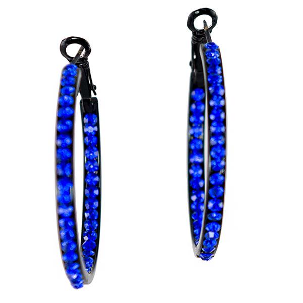 EA669: Elegant Sapphire Hoops