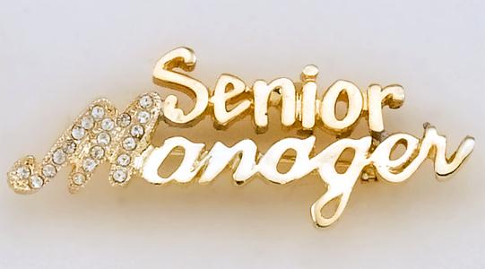 PA499: Senior Manager Pin