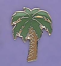 TA171: Palm Tree Tac