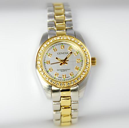 WA70: Ladies Professional 2-Tone Watch